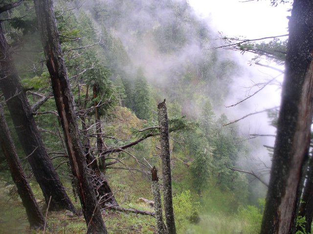 5.7.06 Wauna Point 027 